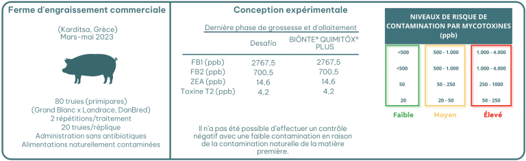 Figure 1. Conception expérimentale des deux tests.